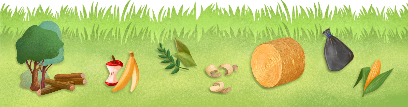 Biomasa