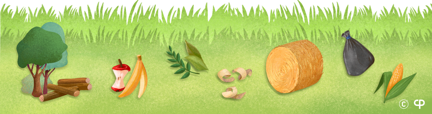 Biomasa